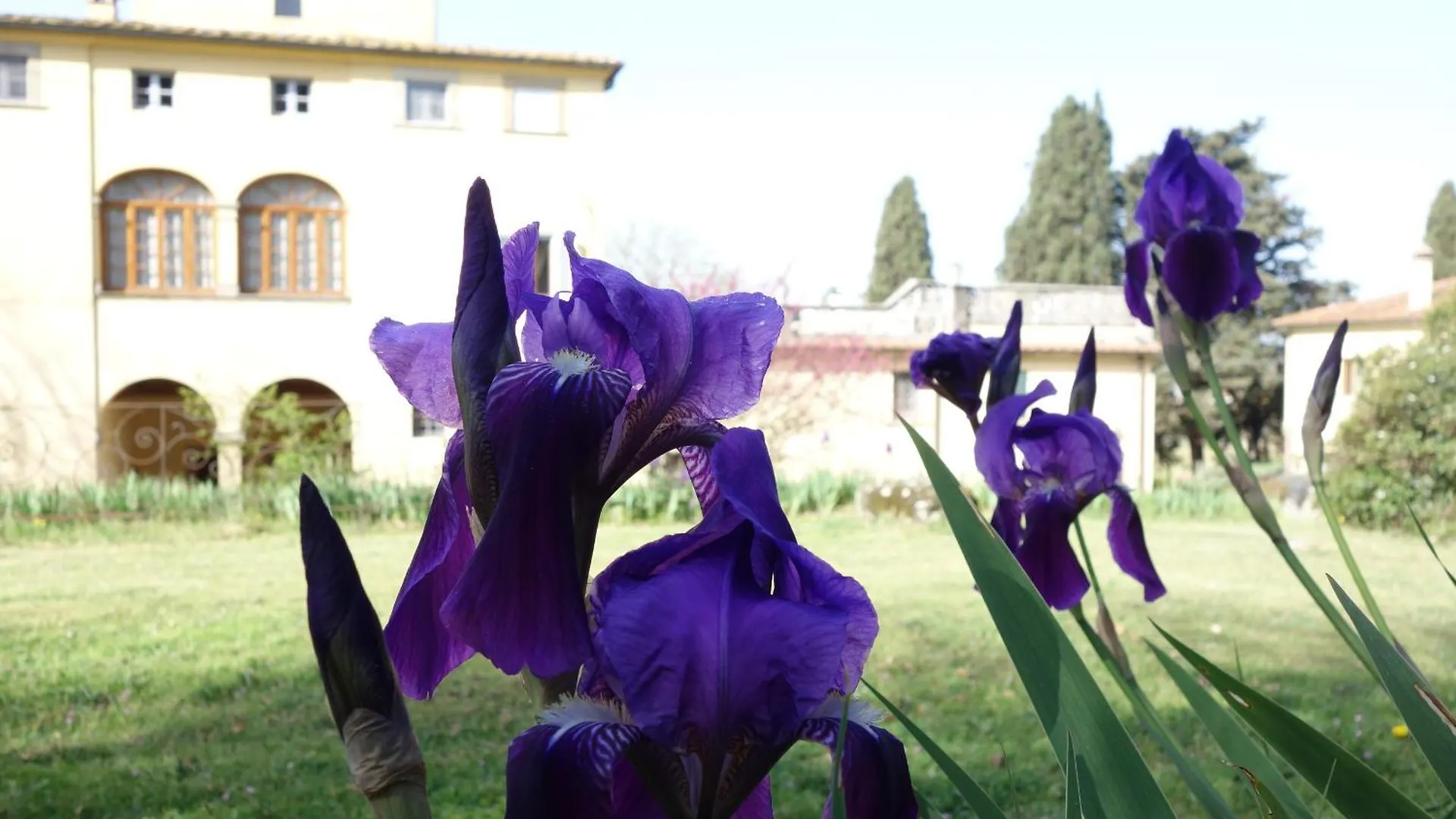Bed and Breakfast Bella di Ceciliano Arezzo Italia