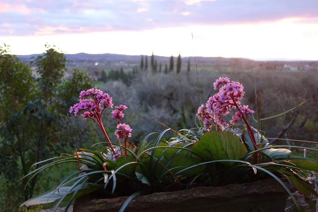 Bed and Breakfast Bella di Ceciliano Arezzo Bed & Breakfast